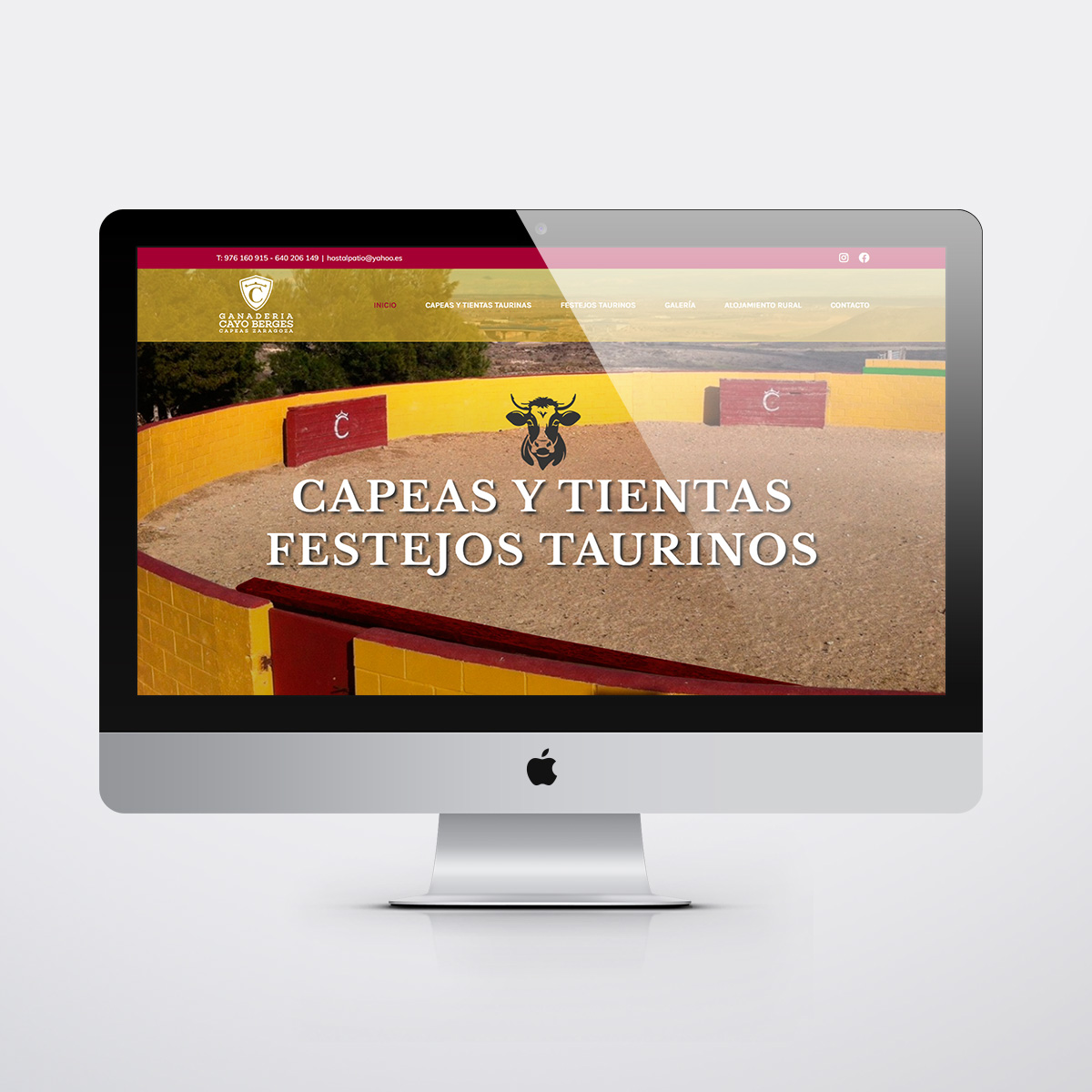 Diseño páginas web en Zaragoza. Intermedio 2.0. Diseño página web Capeas Zaragoza. Posicionamiento web en buscadores. Google.